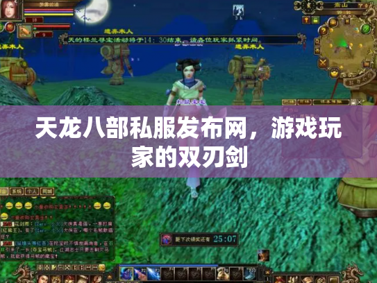 天龙八部私服发布网，游戏玩家的双刃剑
