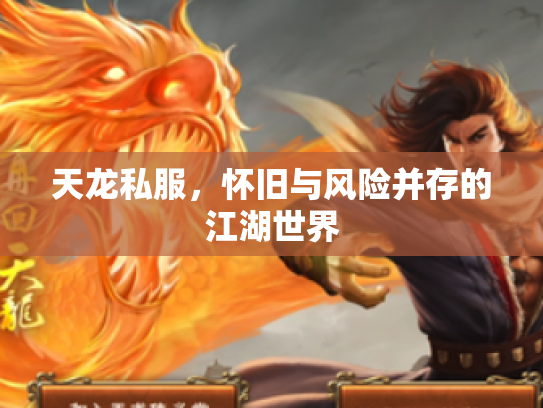 天龙私服，怀旧与风险并存的江湖世界
