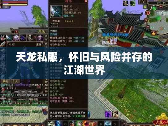 天龙私服，怀旧与风险并存的江湖世界