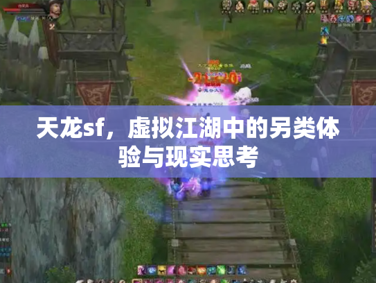 天龙sf，虚拟江湖中的另类体验与现实思考