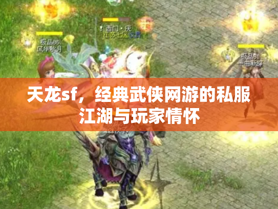 天龙sf，经典武侠网游的私服江湖与玩家情怀