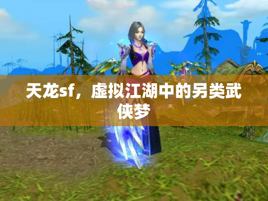 天龙sf，虚拟江湖中的另类武侠梦