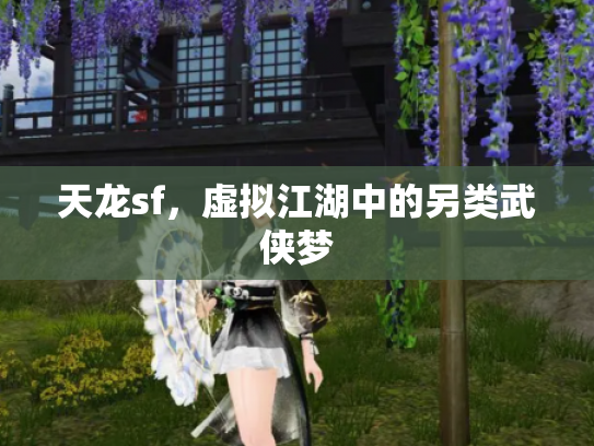 天龙sf，虚拟江湖中的另类武侠梦