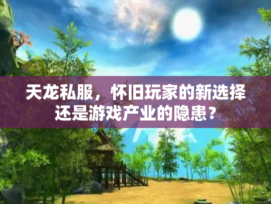 天龙私服，怀旧玩家的新选择还是游戏产业的隐患？