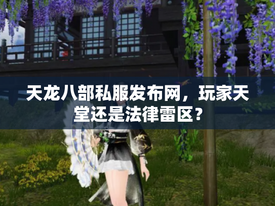 天龙八部私服发布网，玩家天堂还是法律雷区？