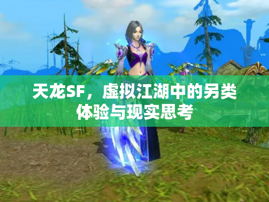 天龙SF，虚拟江湖中的另类体验与现实思考
