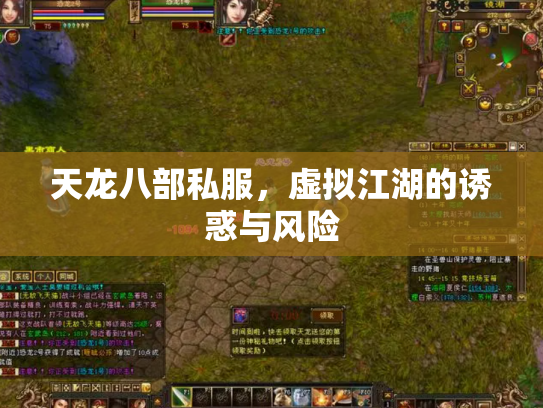 天龙八部私服，虚拟江湖的诱惑与风险