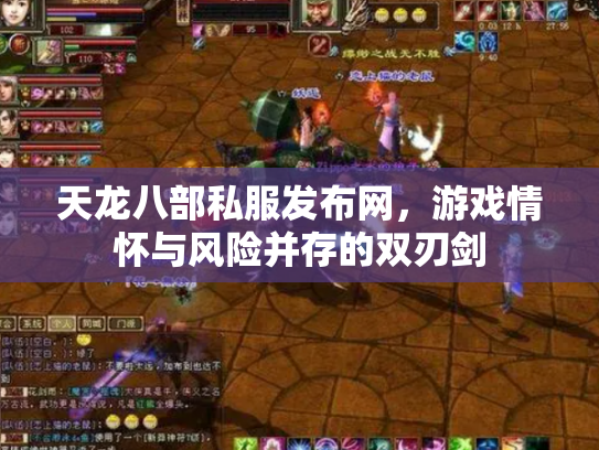 天龙八部私服发布网，游戏情怀与风险并存的双刃剑