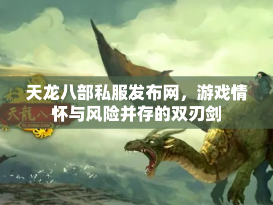 天龙八部私服发布网，游戏情怀与风险并存的双刃剑