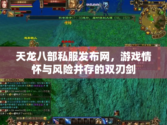 天龙八部私服发布网，游戏情怀与风险并存的双刃剑