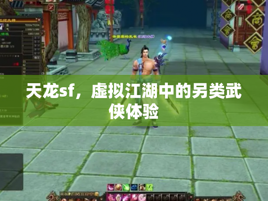 天龙sf，虚拟江湖中的另类武侠体验