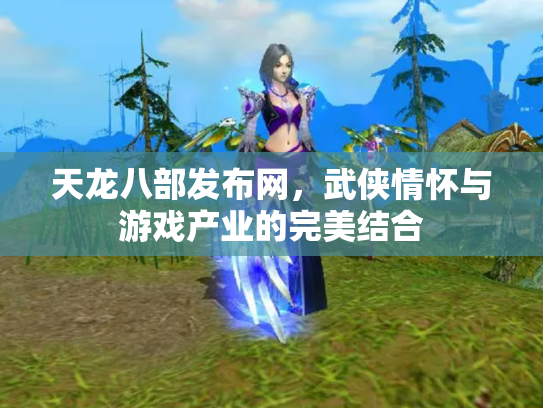 天龙八部发布网，武侠情怀与游戏产业的完美结合
