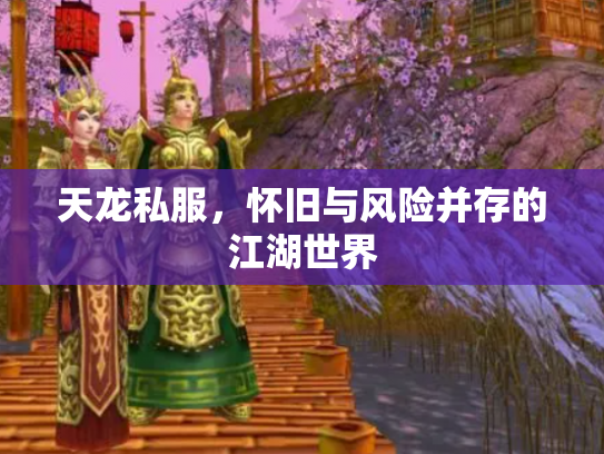 天龙私服，怀旧与风险并存的江湖世界