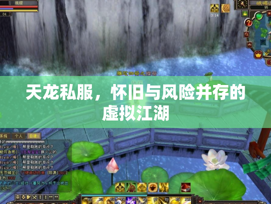 天龙私服，怀旧与风险并存的虚拟江湖