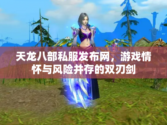 天龙八部私服发布网，游戏情怀与风险并存的双刃剑