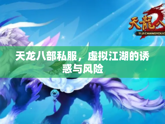 天龙八部私服，虚拟江湖的诱惑与风险