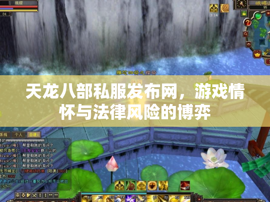 天龙八部私服发布网，游戏情怀与法律风险的博弈