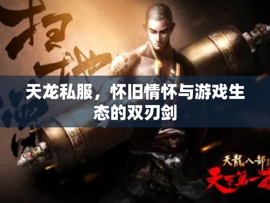 天龙私服，怀旧情怀与游戏生态的双刃剑