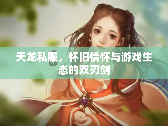 天龙私服，怀旧情怀与游戏生态的双刃剑