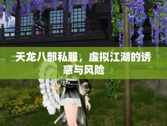 天龙八部私服，虚拟江湖的诱惑与风险