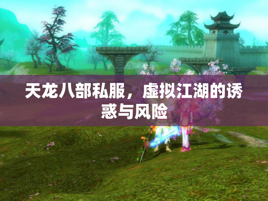 天龙八部私服，虚拟江湖的诱惑与风险