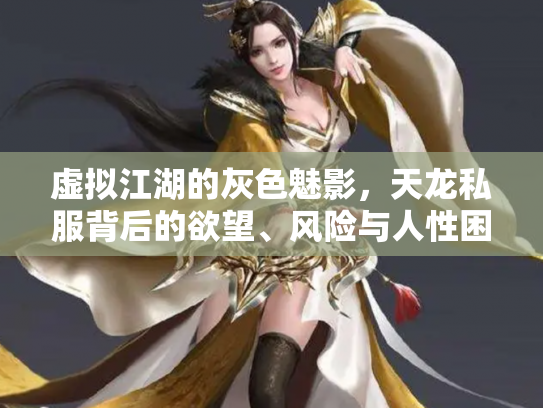 虚拟江湖的灰色魅影，天龙私服背后的欲望、风险与人性困局