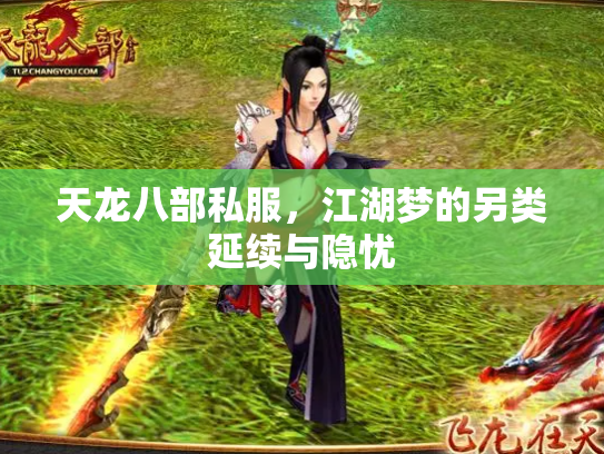 天龙八部私服，江湖梦的另类延续与隐忧