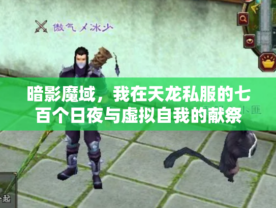 暗影魔域，我在天龙私服的七百个日夜与虚拟自我的献祭