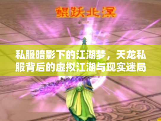 私服暗影下的江湖梦，天龙私服背后的虚拟江湖与现实迷局
