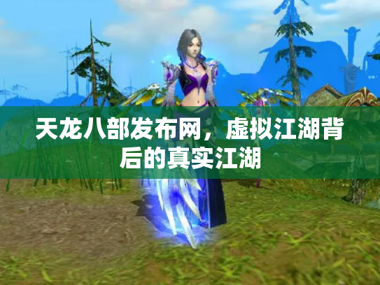 天龙八部发布网，虚拟江湖背后的真实江湖