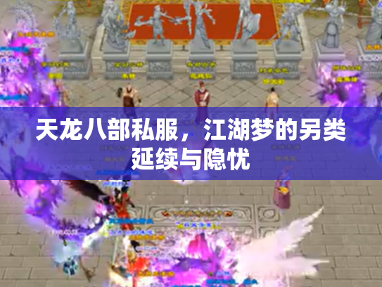 天龙八部私服，江湖梦的另类延续与隐忧