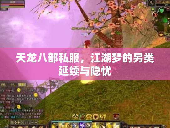 天龙八部私服，江湖梦的另类延续与隐忧