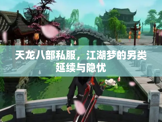 天龙八部私服，江湖梦的另类延续与隐忧