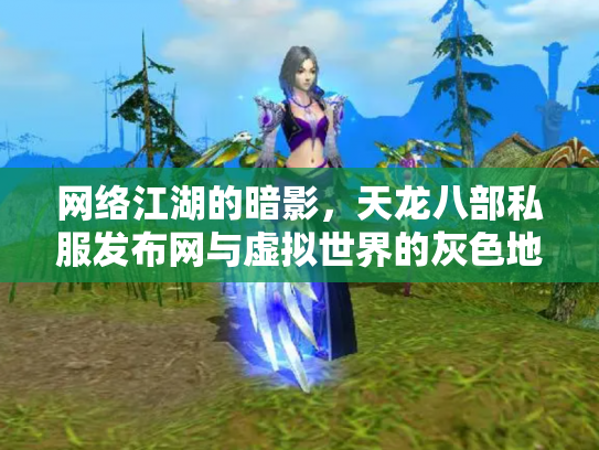 网络江湖的暗影，天龙八部私服发布网与虚拟世界的灰色地带