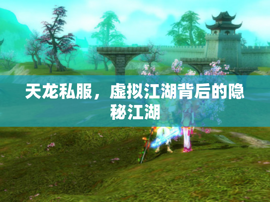 天龙私服，虚拟江湖背后的隐秘江湖