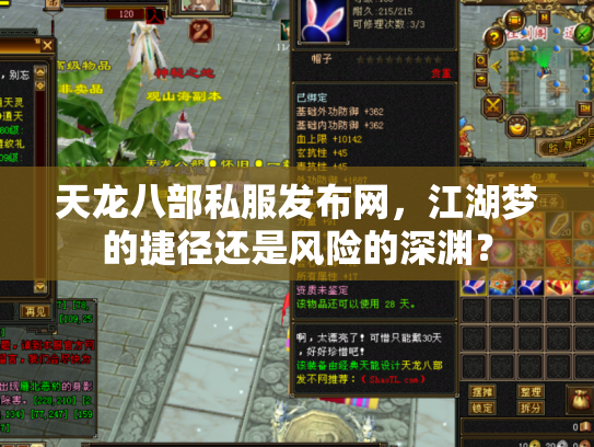天龙八部私服发布网，江湖梦的捷径还是风险的深渊？