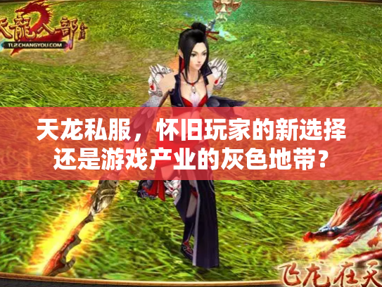 天龙私服，怀旧玩家的新选择还是游戏产业的灰色地带？