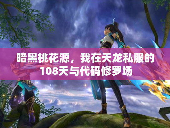 暗黑桃花源，我在天龙私服的108天与代码修罗场