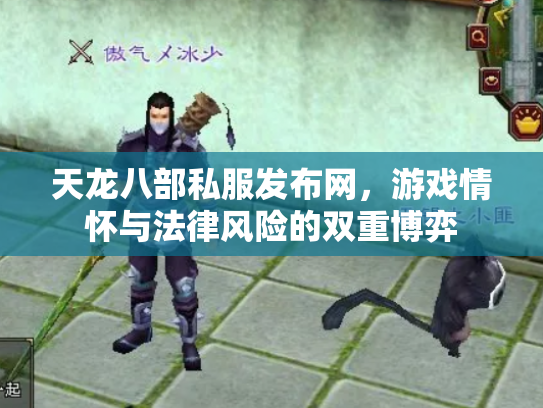 天龙八部私服发布网，游戏情怀与法律风险的双重博弈