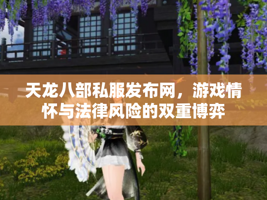 天龙八部私服发布网，游戏情怀与法律风险的双重博弈