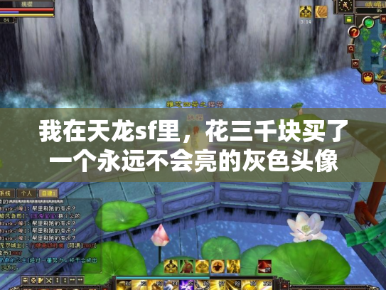 我在天龙sf里，花三千块买了一个永远不会亮的灰色头像