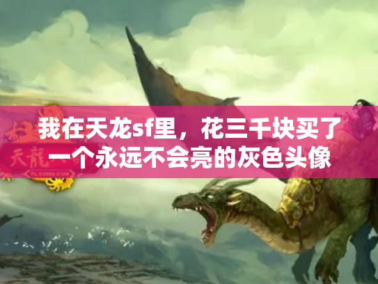 我在天龙sf里，花三千块买了一个永远不会亮的灰色头像