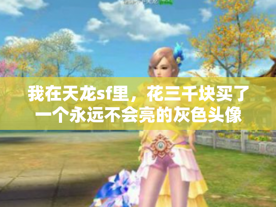 我在天龙sf里，花三千块买了一个永远不会亮的灰色头像