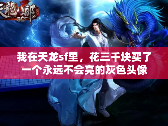 我在天龙sf里，花三千块买了一个永远不会亮的灰色头像