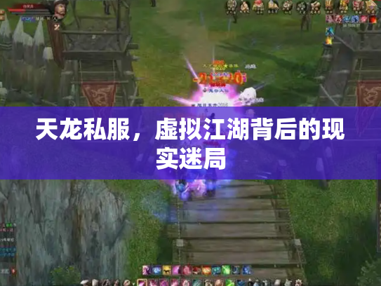 天龙私服，虚拟江湖背后的现实迷局