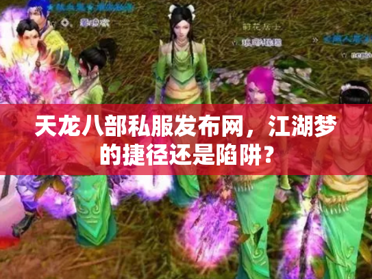 天龙八部私服发布网，江湖梦的捷径还是陷阱？