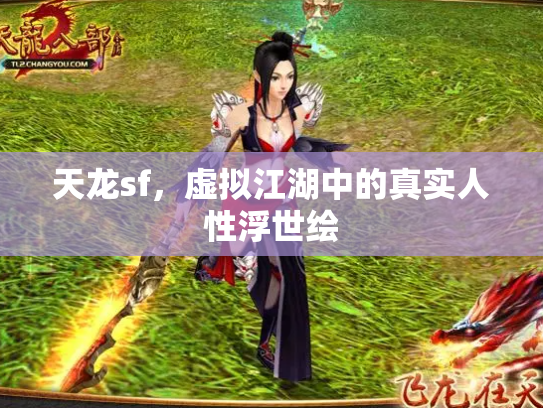 天龙sf，虚拟江湖中的真实人性浮世绘
