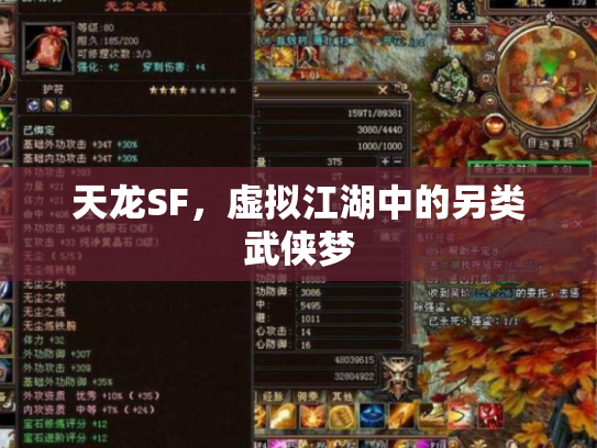 天龙SF，虚拟江湖中的另类武侠梦