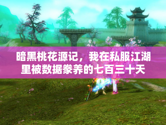 暗黑桃花源记，我在私服江湖里被数据豢养的七百三十天
