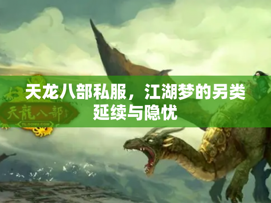 天龙八部私服，江湖梦的另类延续与隐忧